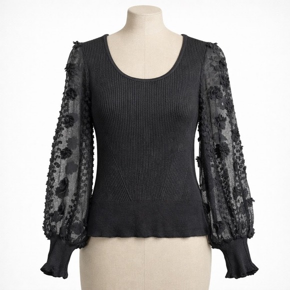 No Boundaries Tops - Black Sheer Mesh Top Blouse 3D Floral Balloon Sleeve XS Whimsigoth Fairy Grunge